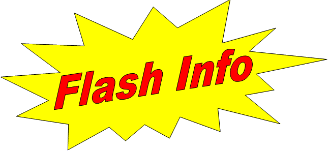 Flash